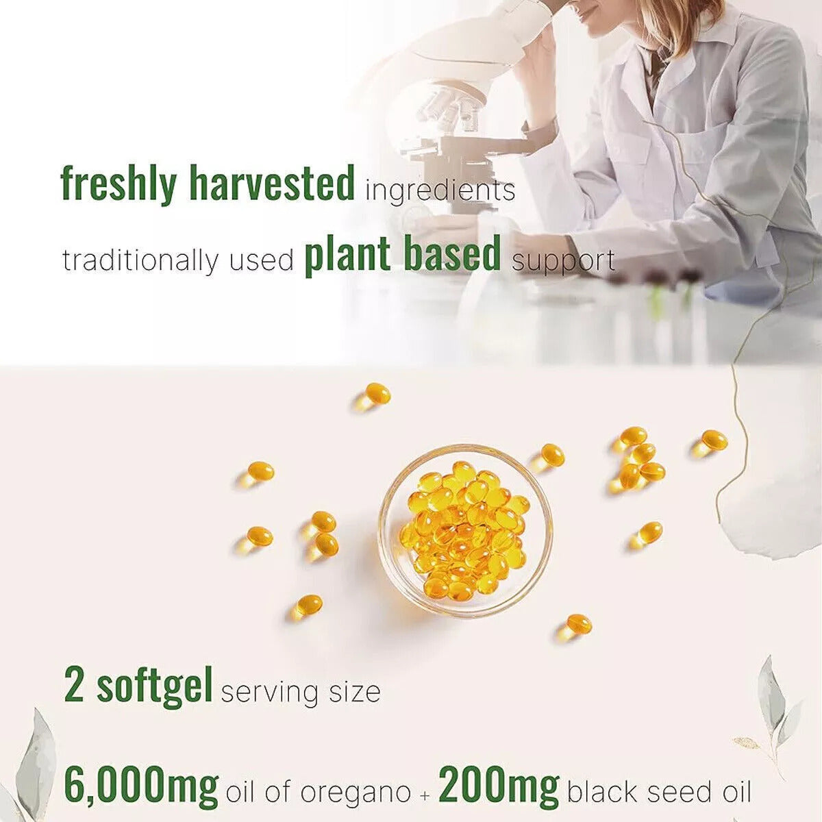 Organic Oregano Extract - High Potency Hot Capsules